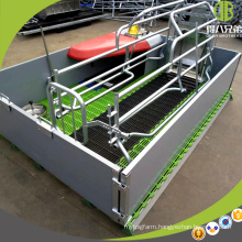 Hot Dip Galvanized Pig Farrowing Crate For Sale High Quality Farrowing Pen